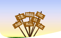 Facebook Page Monetization